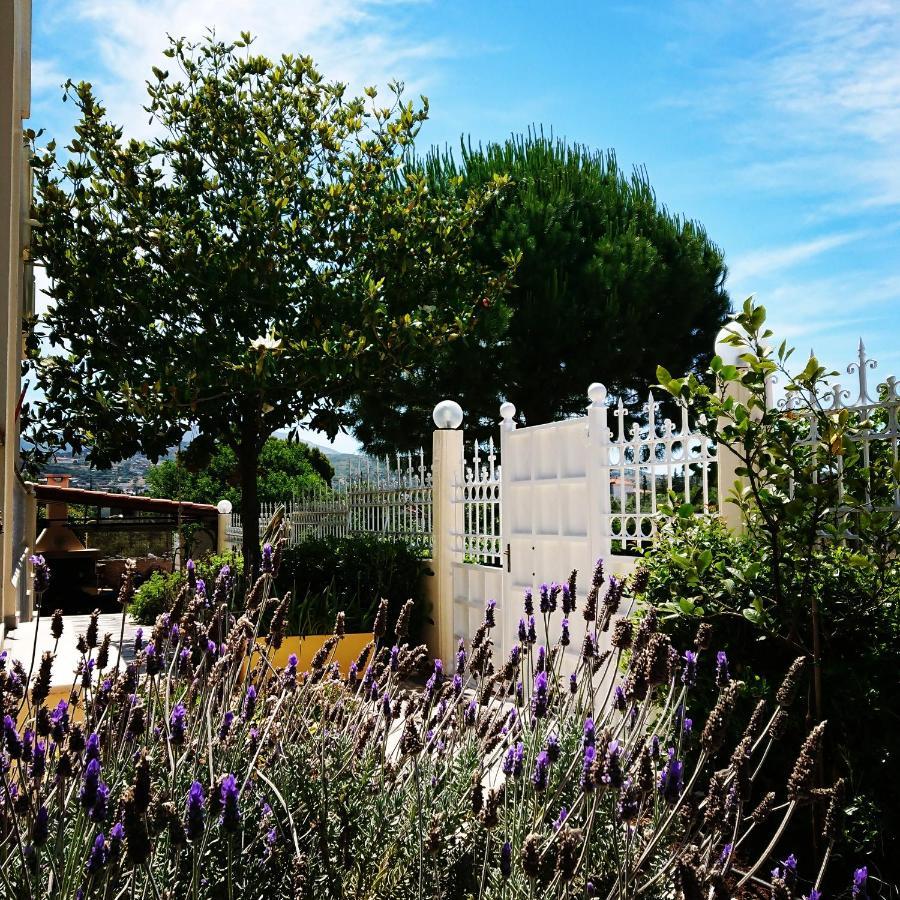 Villa Filoxenia All Seasons, Near Airport, Sea, Athens Agia Marina  Luaran gambar