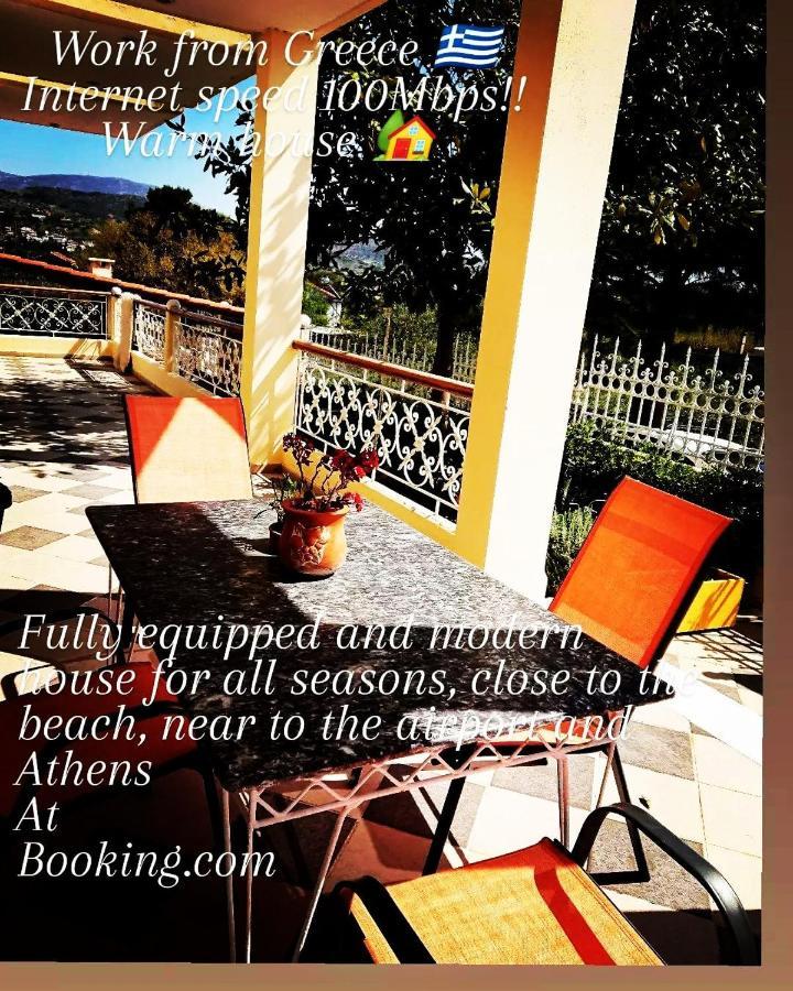 Villa Filoxenia All Seasons, Near Airport, Sea, Athens Agia Marina  Luaran gambar