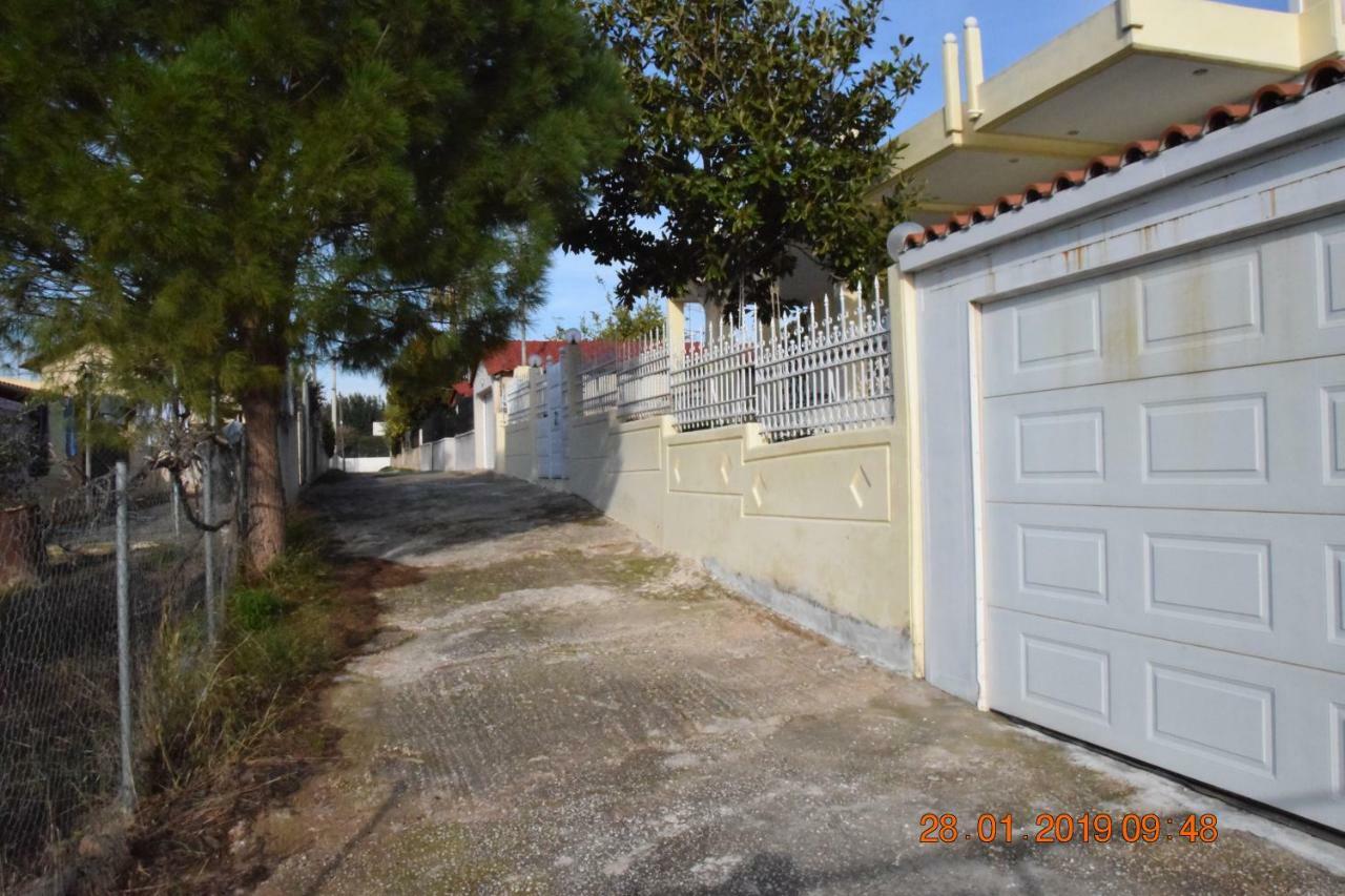 Villa Filoxenia All Seasons, Near Airport, Sea, Athens Agia Marina  Luaran gambar