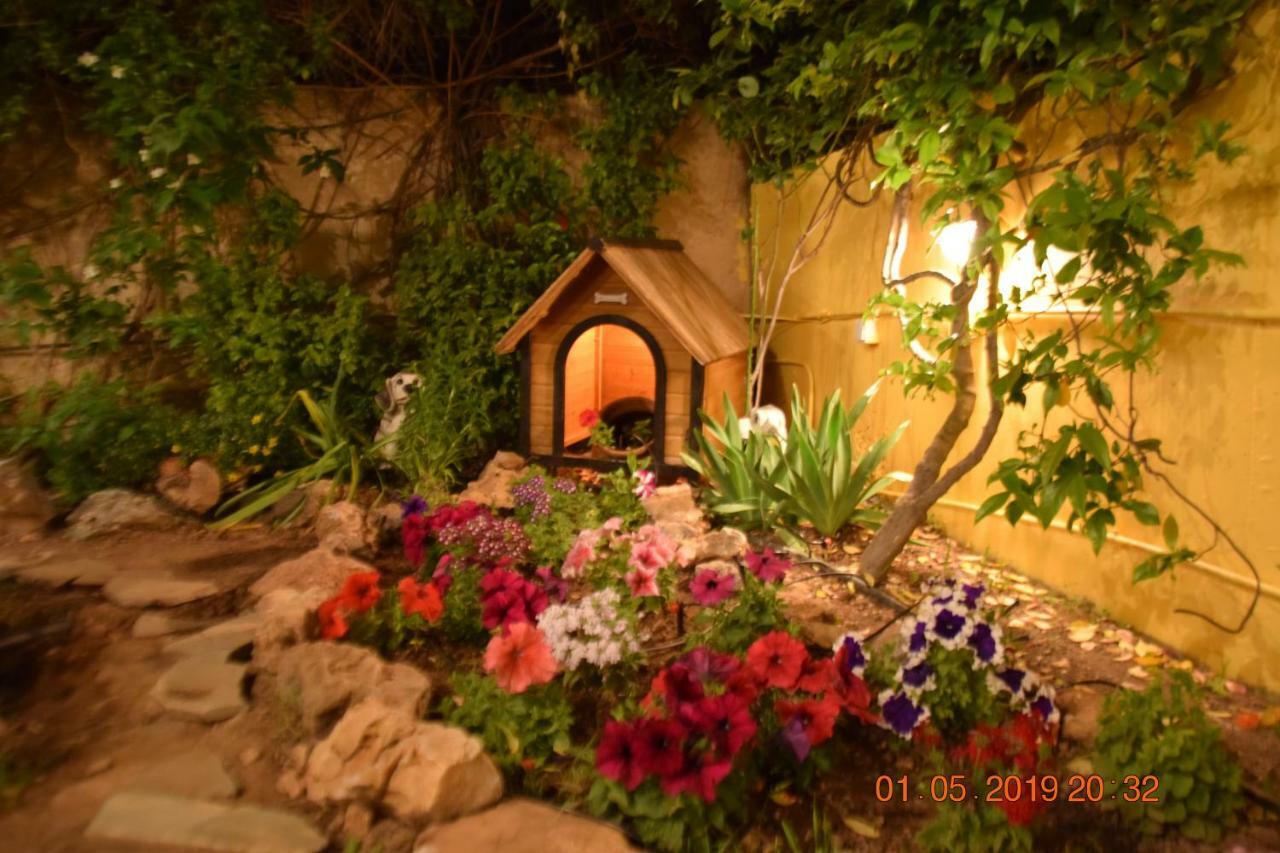 Villa Filoxenia All Seasons, Near Airport, Sea, Athens Agia Marina  Luaran gambar
