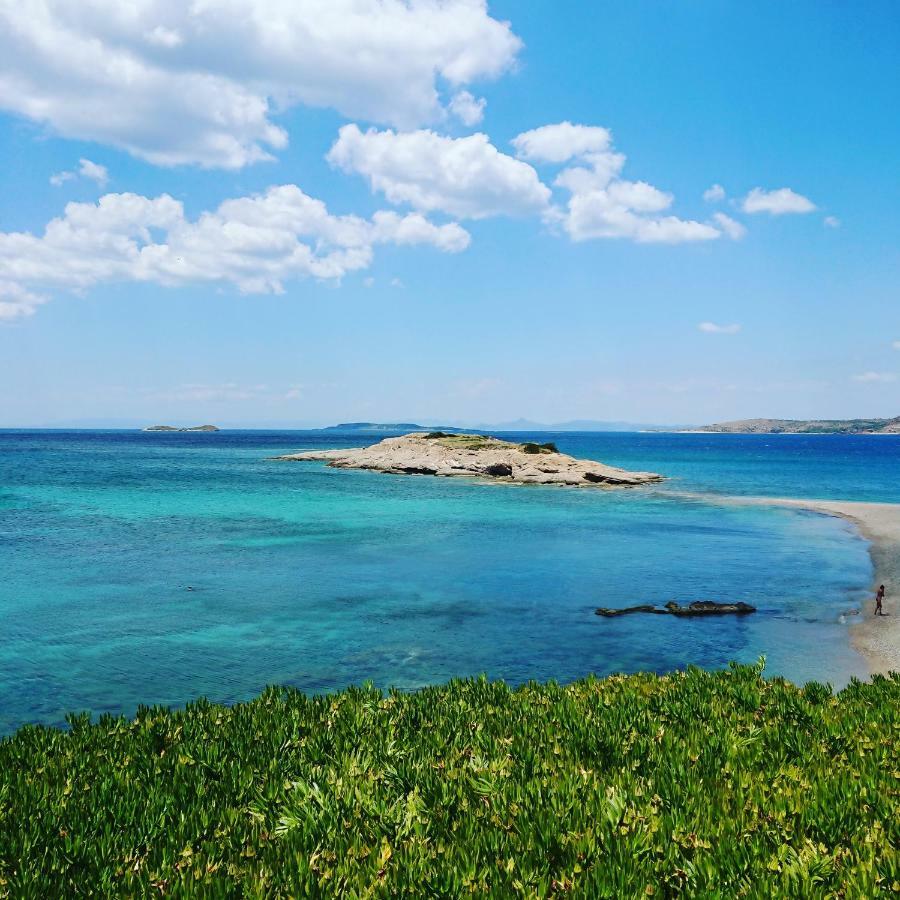 Villa Filoxenia All Seasons, Near Airport, Sea, Athens Agia Marina  Luaran gambar