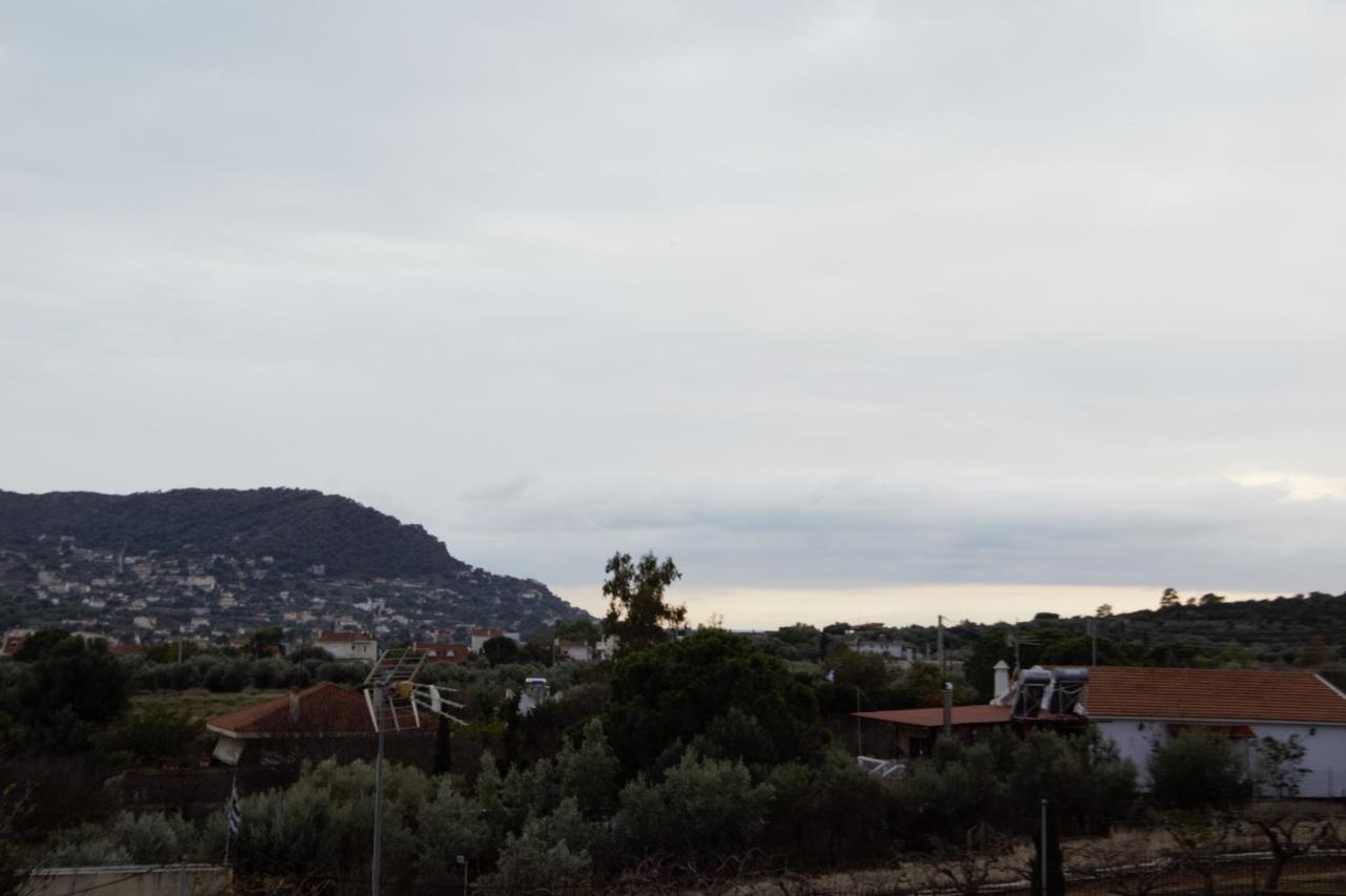Villa Filoxenia All Seasons, Near Airport, Sea, Athens Agia Marina  Luaran gambar